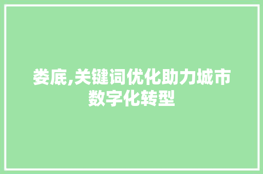 娄底,关键词优化助力城市数字化转型