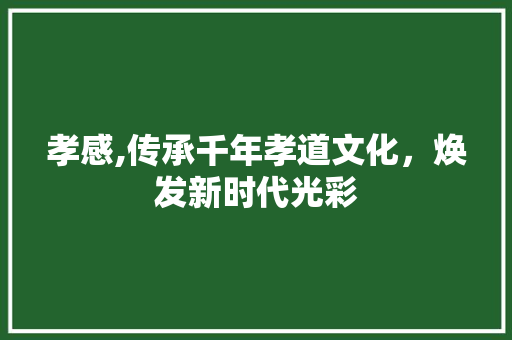 孝感,传承千年孝道文化，焕发新时代光彩