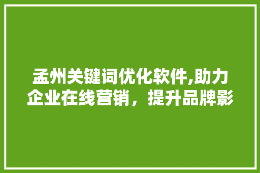 孟州关键词优化软件,助力企业在线营销，提升品牌影响力