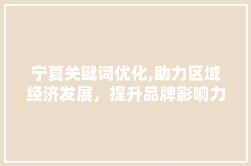 宁夏关键词优化,助力区域经济发展，提升品牌影响力