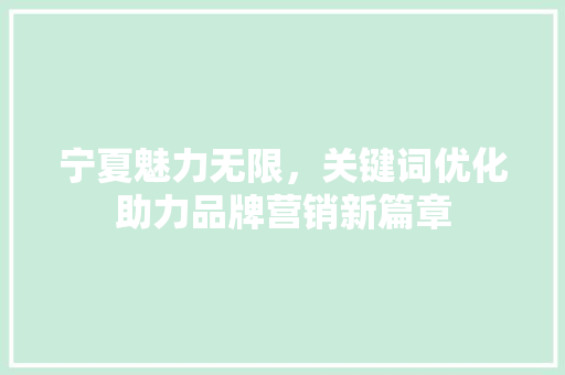 宁夏魅力无限，关键词优化助力品牌营销新篇章