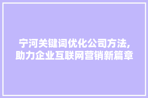 宁河关键词优化公司方法,助力企业互联网营销新篇章