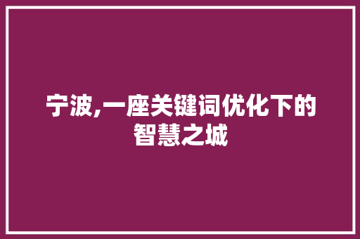 宁波,一座关键词优化下的智慧之城