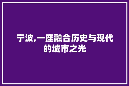 宁波,一座融合历史与现代的城市之光