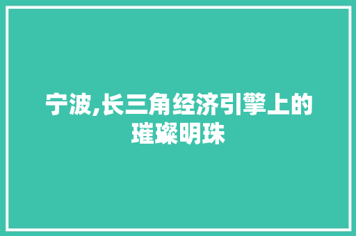 宁波,长三角经济引擎上的璀璨明珠