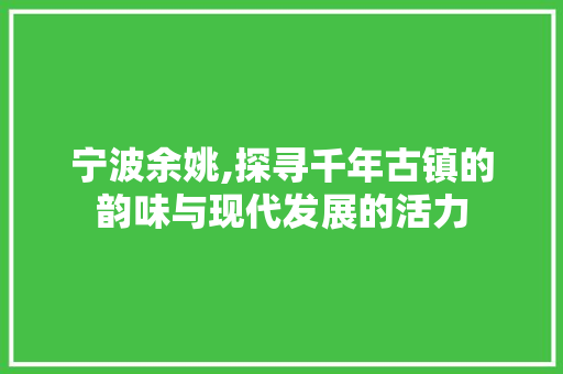 宁波余姚,探寻千年古镇的韵味与现代发展的活力