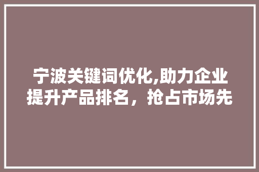 宁波关键词优化,助力企业提升产品排名，抢占市场先机