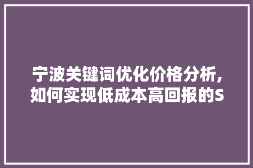 宁波关键词优化价格分析,如何实现低成本高回报的SEO步骤