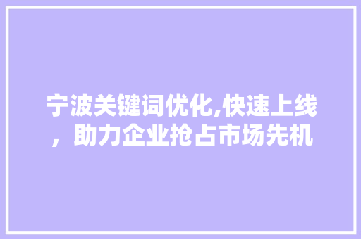 宁波关键词优化,快速上线，助力企业抢占市场先机