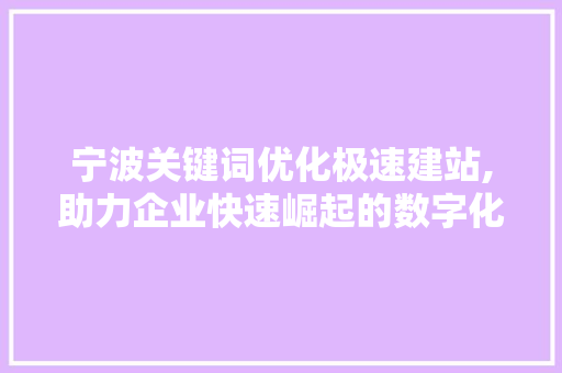 宁波关键词优化极速建站,助力企业快速崛起的数字化战略