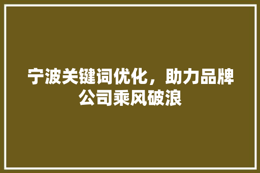 宁波关键词优化，助力品牌公司乘风破浪