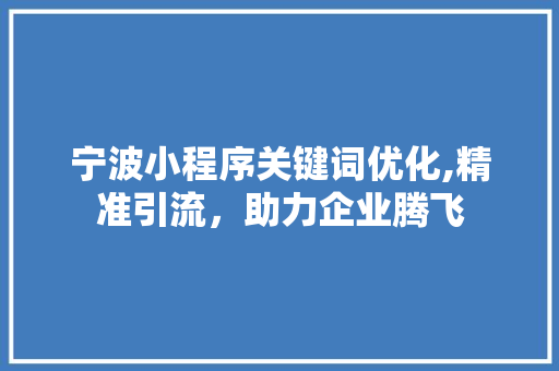 宁波小程序关键词优化,精准引流，助力企业腾飞