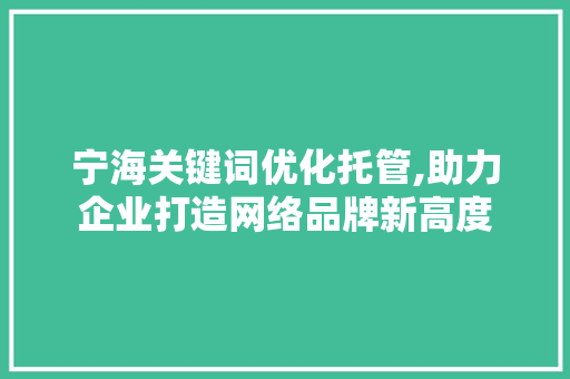 宁海关键词优化托管,助力企业打造网络品牌新高度