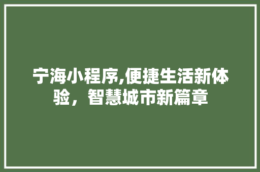 宁海小程序,便捷生活新体验，智慧城市新篇章