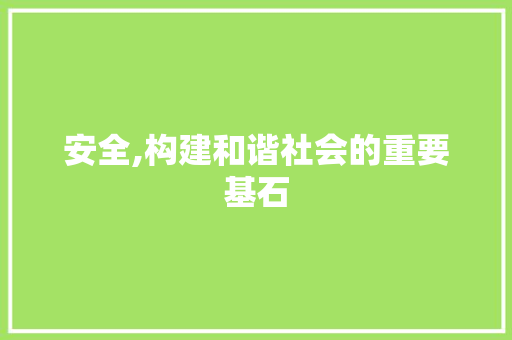 安全,构建和谐社会的重要基石