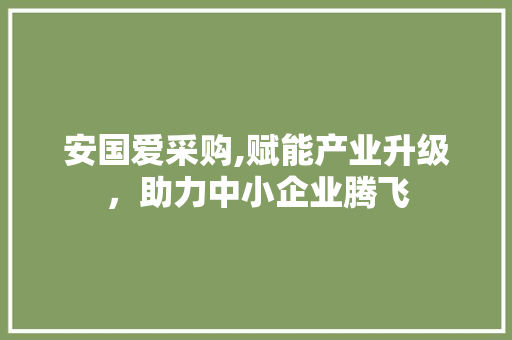 安国爱采购,赋能产业升级，助力中小企业腾飞