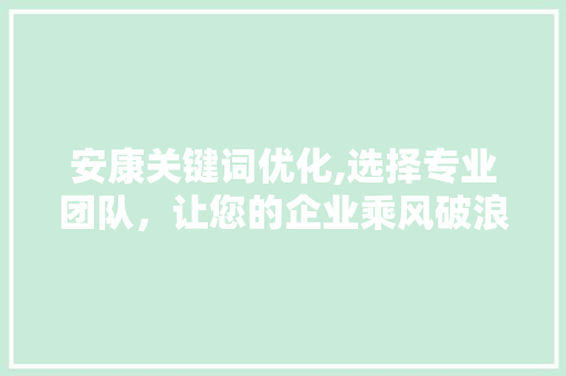 安康关键词优化,选择专业团队，让您的企业乘风破浪