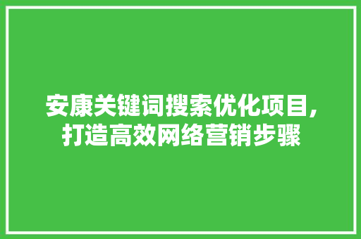 安康关键词搜索优化项目,打造高效网络营销步骤