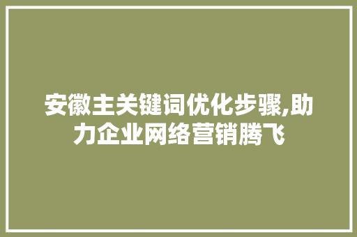 安徽主关键词优化步骤,助力企业网络营销腾飞