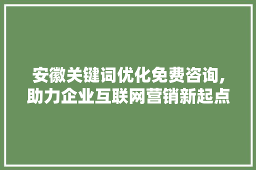 安徽关键词优化免费咨询,助力企业互联网营销新起点