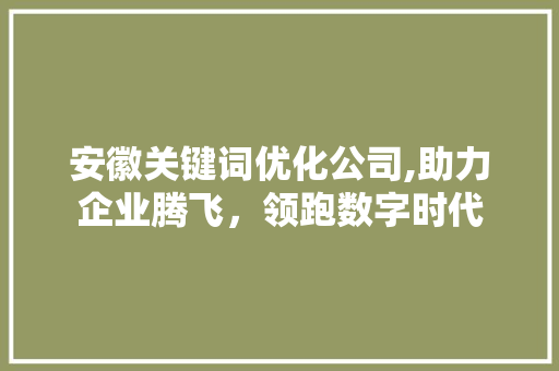 安徽关键词优化公司,助力企业腾飞，领跑数字时代