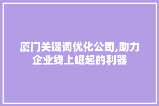 厦门关键词优化公司,助力企业线上崛起的利器