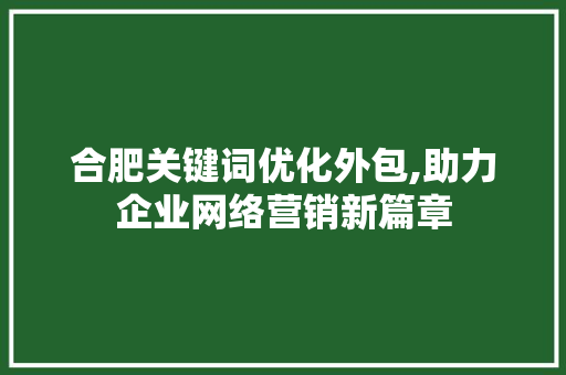 合肥关键词优化外包,助力企业网络营销新篇章