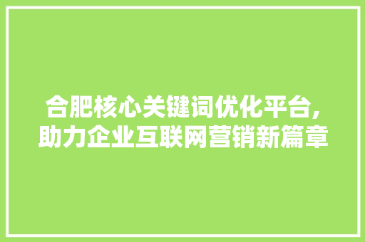 合肥核心关键词优化平台,助力企业互联网营销新篇章