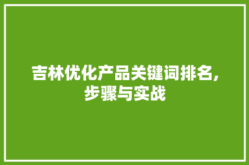 吉林优化产品关键词排名,步骤与实战