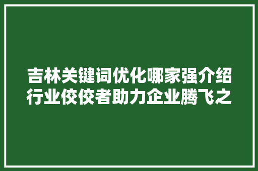 吉林关键词优化哪家强介绍行业佼佼者助力企业腾飞之路