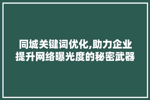 同城关键词优化,助力企业提升网络曝光度的秘密武器