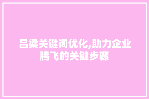 吕梁关键词优化,助力企业腾飞的关键步骤