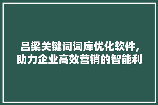 吕梁关键词词库优化软件,助力企业高效营销的智能利器