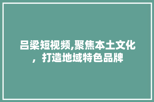 吕梁短视频,聚焦本土文化，打造地域特色品牌