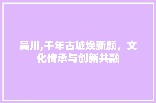 吴川,千年古城焕新颜，文化传承与创新共融