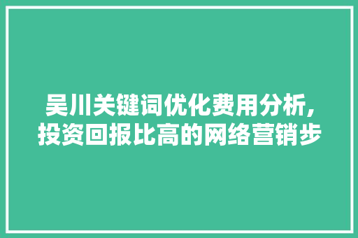 吴川关键词优化费用分析,投资回报比高的网络营销步骤