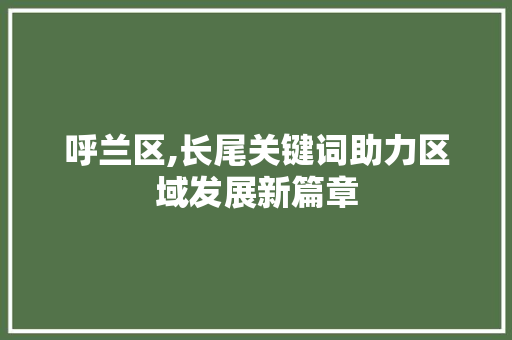 呼兰区,长尾关键词助力区域发展新篇章