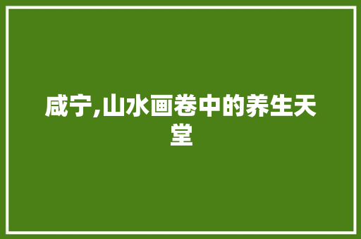 咸宁,山水画卷中的养生天堂