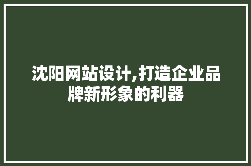 沈阳网站设计,打造企业品牌新形象的利器 网站建设