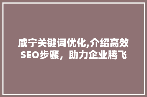 咸宁关键词优化,介绍高效SEO步骤，助力企业腾飞