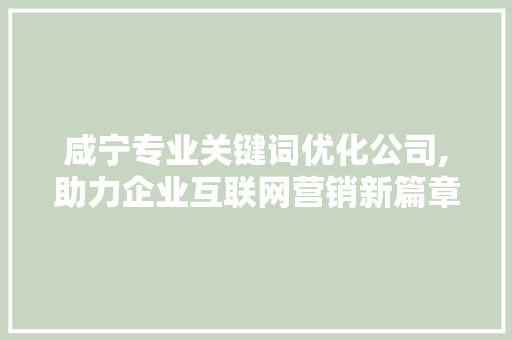 咸宁专业关键词优化公司,助力企业互联网营销新篇章