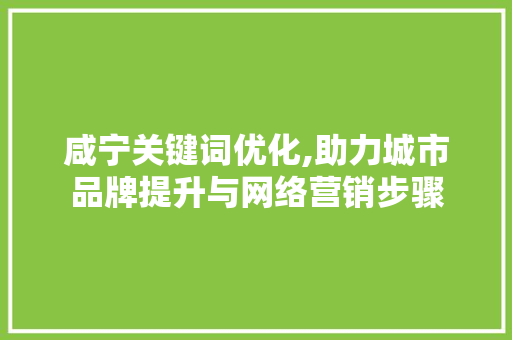咸宁关键词优化,助力城市品牌提升与网络营销步骤