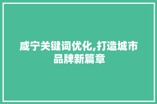 咸宁关键词优化,打造城市品牌新篇章