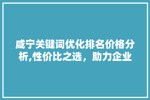 咸宁关键词优化排名价格分析,性价比之选，助力企业腾飞