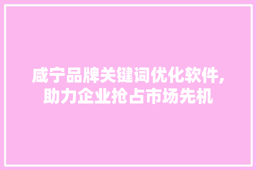 咸宁品牌关键词优化软件,助力企业抢占市场先机