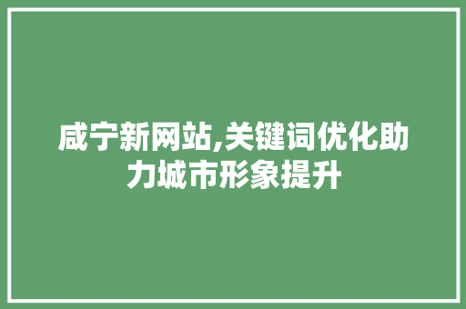 咸宁新网站,关键词优化助力城市形象提升