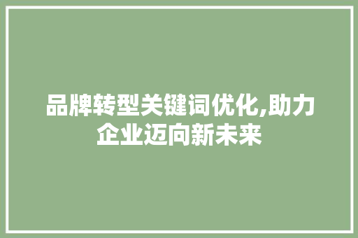 品牌转型关键词优化,助力企业迈向新未来