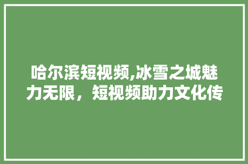 哈尔滨短视频,冰雪之城魅力无限，短视频助力文化传播