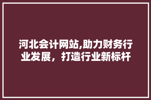 河北会计网站,助力财务行业发展，打造行业新标杆 响应式设计