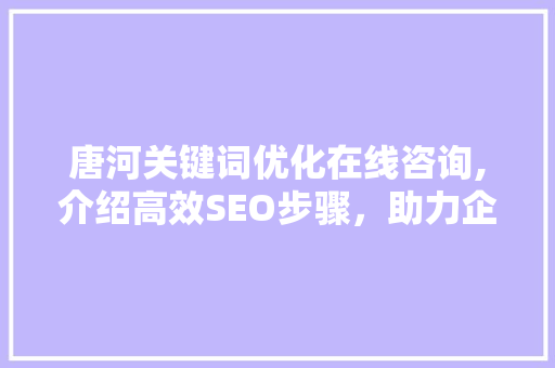 唐河关键词优化在线咨询,介绍高效SEO步骤，助力企业腾飞